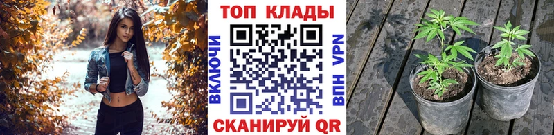 Продажа наркотиков Судак ГАШИШ  Альфа ПВП  Меф  kraken вход  Cocaine  МАРИХУАНА 