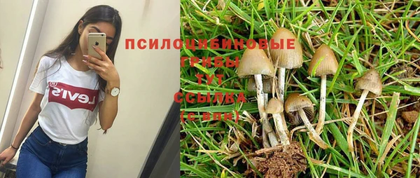 стафф Арсеньев