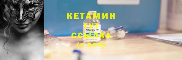 стафф Арсеньев