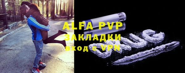 стафф Арсеньев