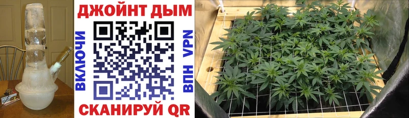 где найти наркотики  Судак  Канабис SATIVA & INDICA 